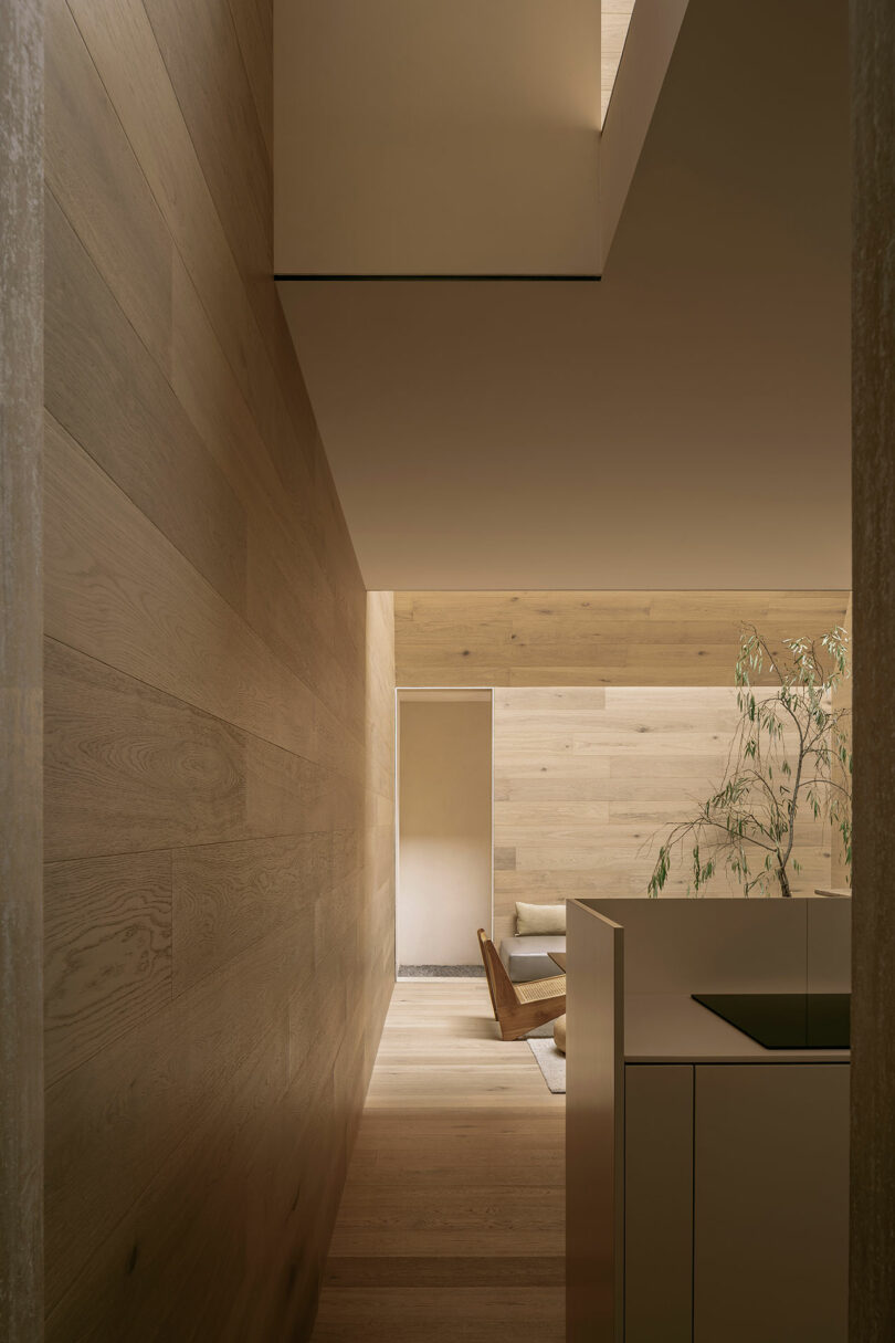 A minimalist interior with wooden walls and floors, featuring an open stairway, a potted plant, and a lounge area with a chair and cushions.