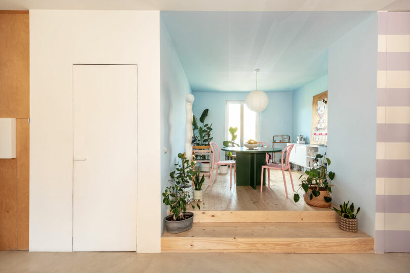 Room with light blue walls, wooden floor, and steps leading to a round table. Green plants decorate the space. A large white pendant light hangs from the ceiling.