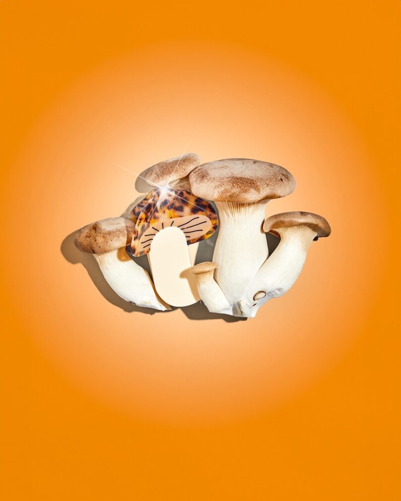 A cluster of king oyster mushrooms against an orange background, with one mushroom hairclip