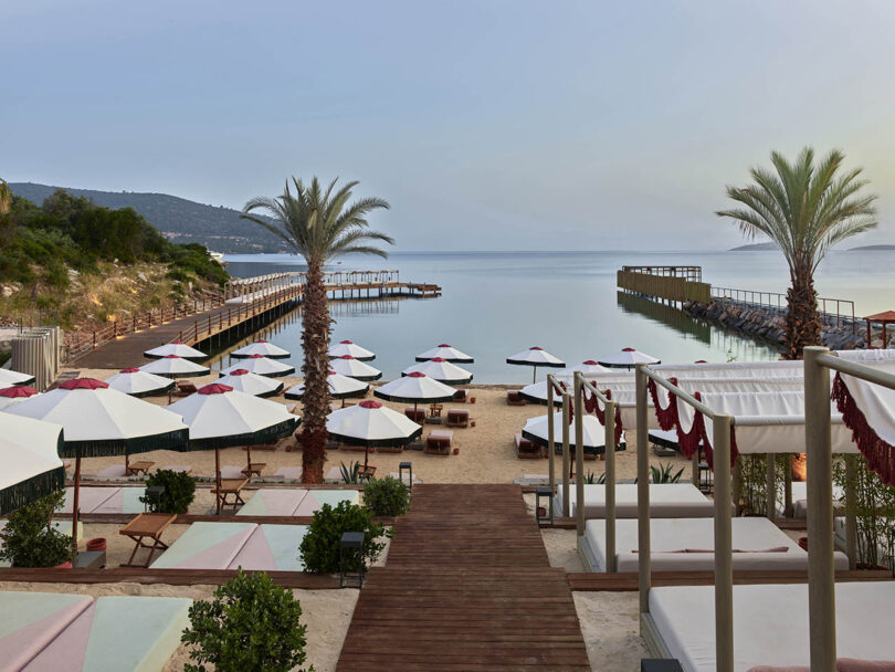 Beachside scene with rows of sun loungers and parasols facing calm water. Palm trees are on either side, and a wooden walkway leads to the pier. Hills are visible in the background.