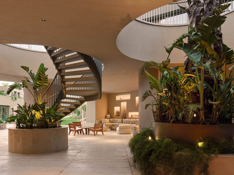 Modern interior with a spiral staircase, lush plants, and contemporary furniture, featuring natural lighting from circular overhead openings.