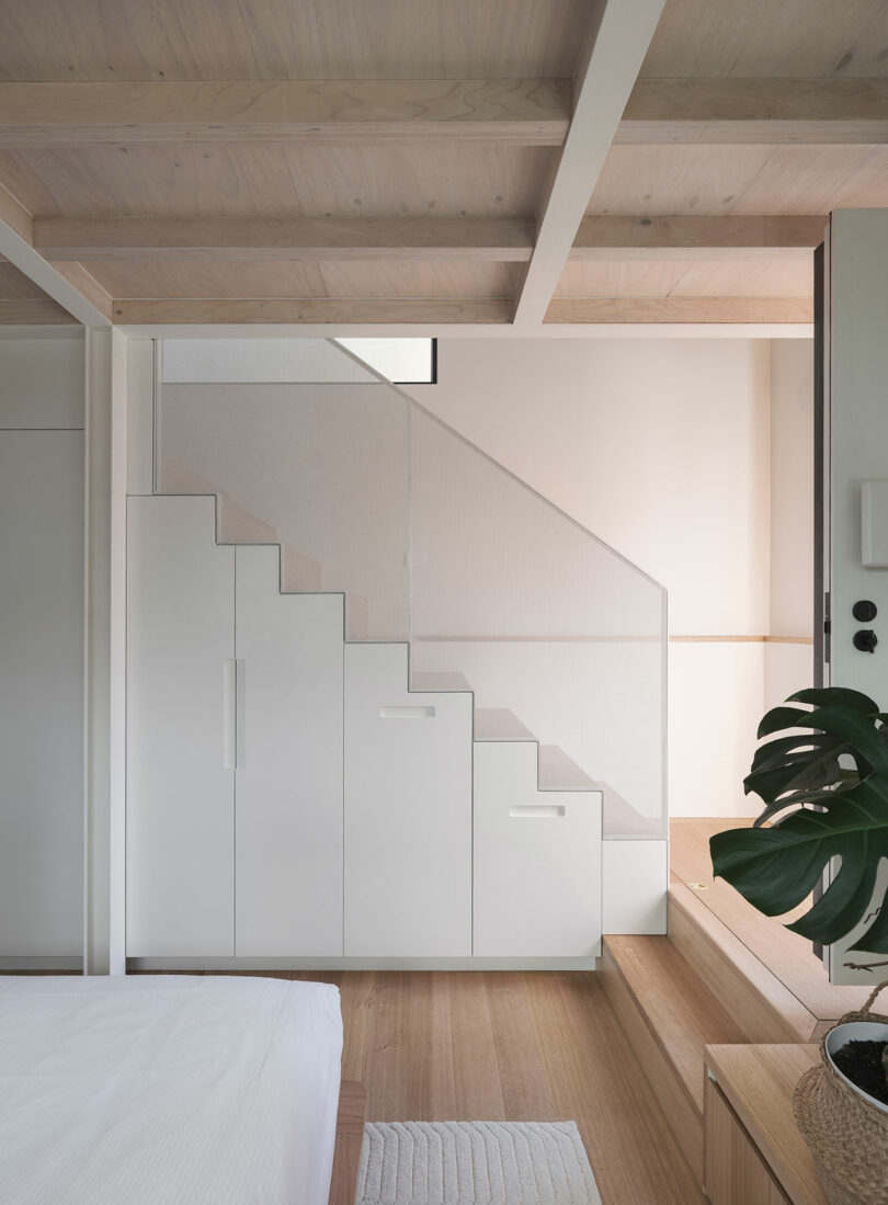 A modern interior with a staircase featuring built-in storage drawers under the steps, light wood flooring, and a large green plant in the foreground.