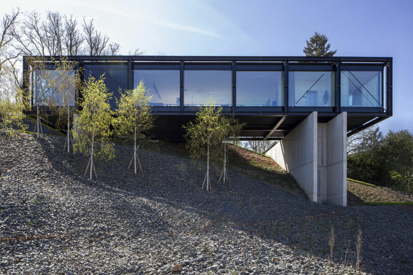 Modern glass and steel house on a sloped, rocky terrain with young trees planted nearby.