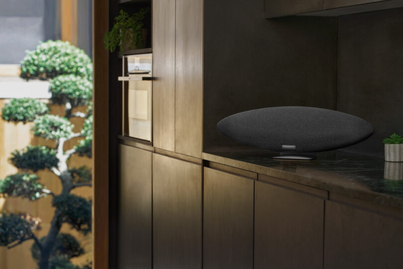 A modern Zeppelin Pro Edition wireless speaker sits on a dark wooden shelf next to a small plant and a bonsai tree, with sunlight streaming in from a nearby window.