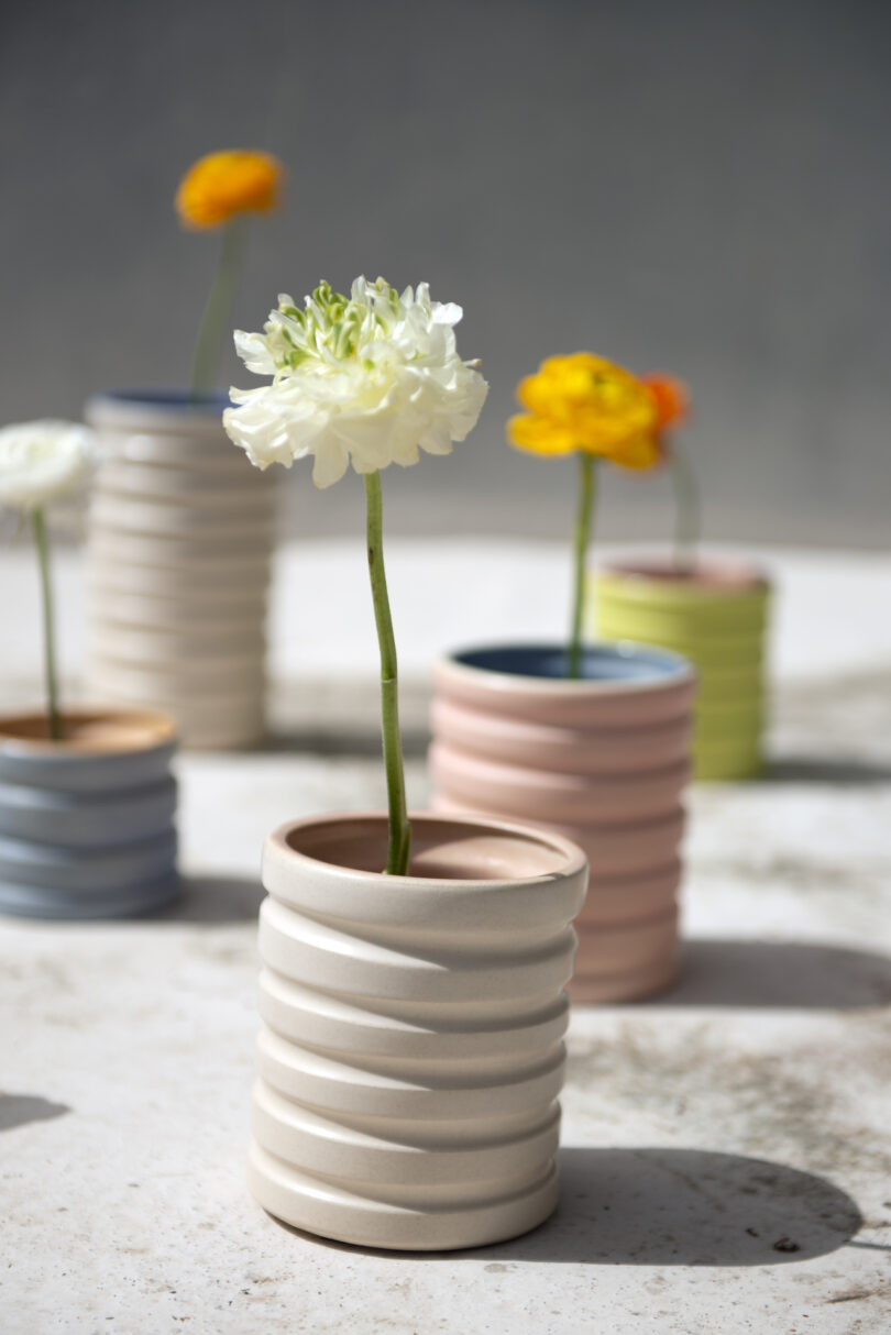 Five ceramic vases with ribbed design, each holding a single flower, are placed on a sunlit surface. The flowers are in shades of white, yellow, and orange