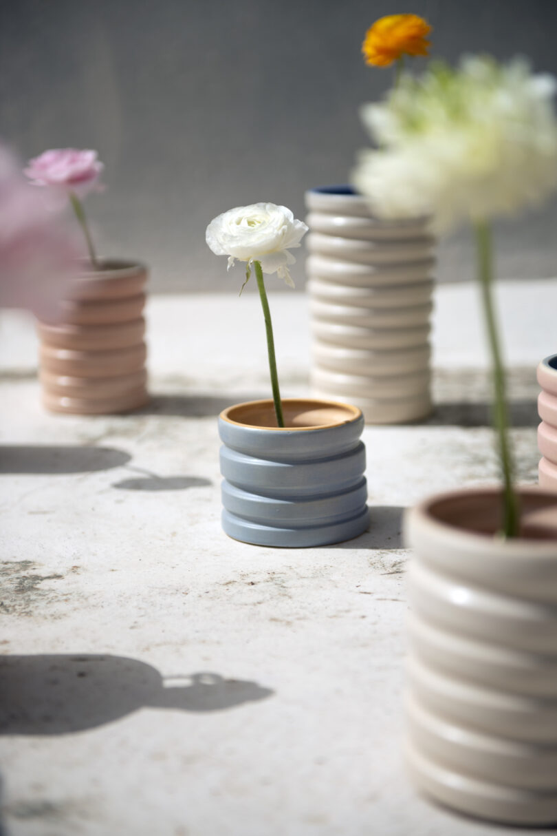 A white flower in a stacked ring vase on a sunlit surface is surrounded by similar vases with various flowers