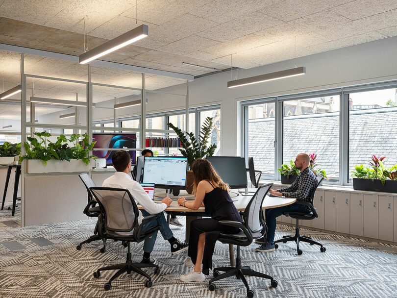 Office setting with four people working at desks. Two are in discussion, while two others are focused on their computers. The room features large windows and plants.