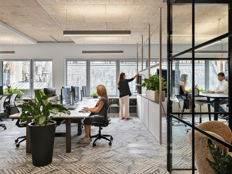 Modern office space with people working at desks and tending to plants. Large windows and a partition separate areas.