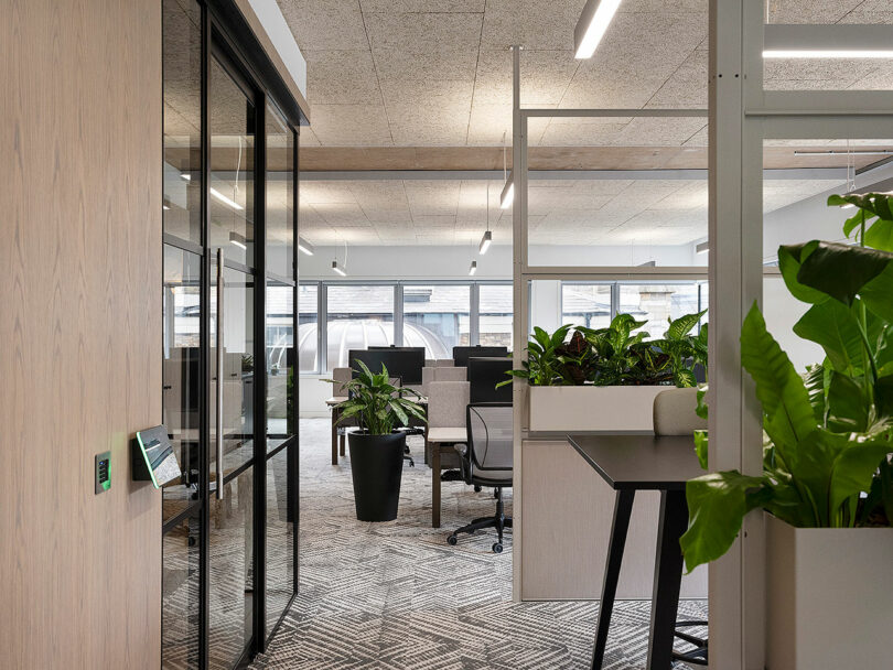 Modern office space with glass partitions, workstations, and green plants. Carpeted floor and ceiling lights add to the contemporary design.