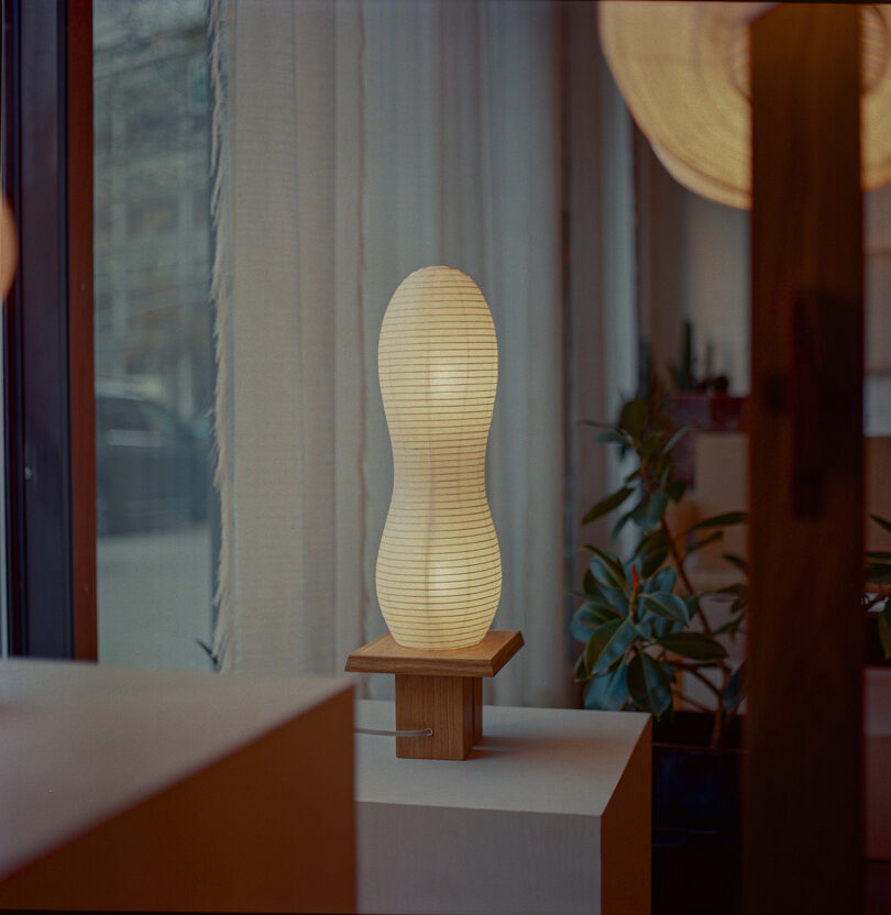 A uniquely shaped lamp on a wooden stand illuminates a room with white curtains and potted plants by the window.