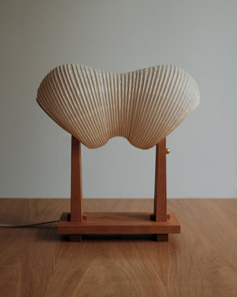 A white, textured, shell-like lamp sits on a wooden base atop a wooden surface.