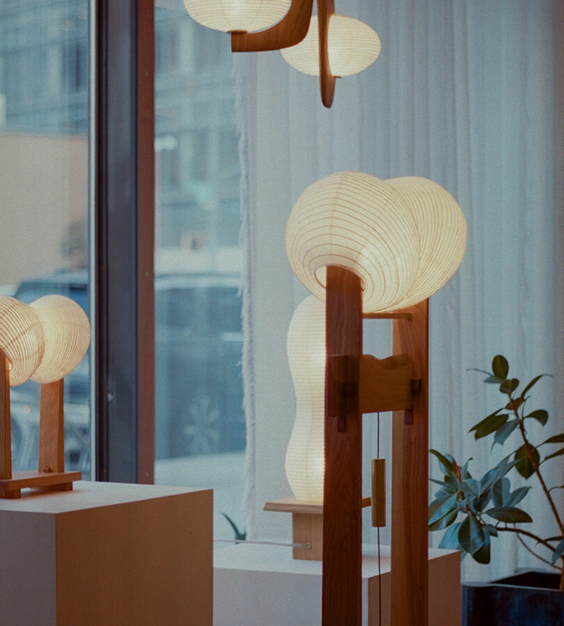 A display of modern, sculptural lamps with wood frames and white shades, set on white pedestals near a large window. A plant is visible in the corner.