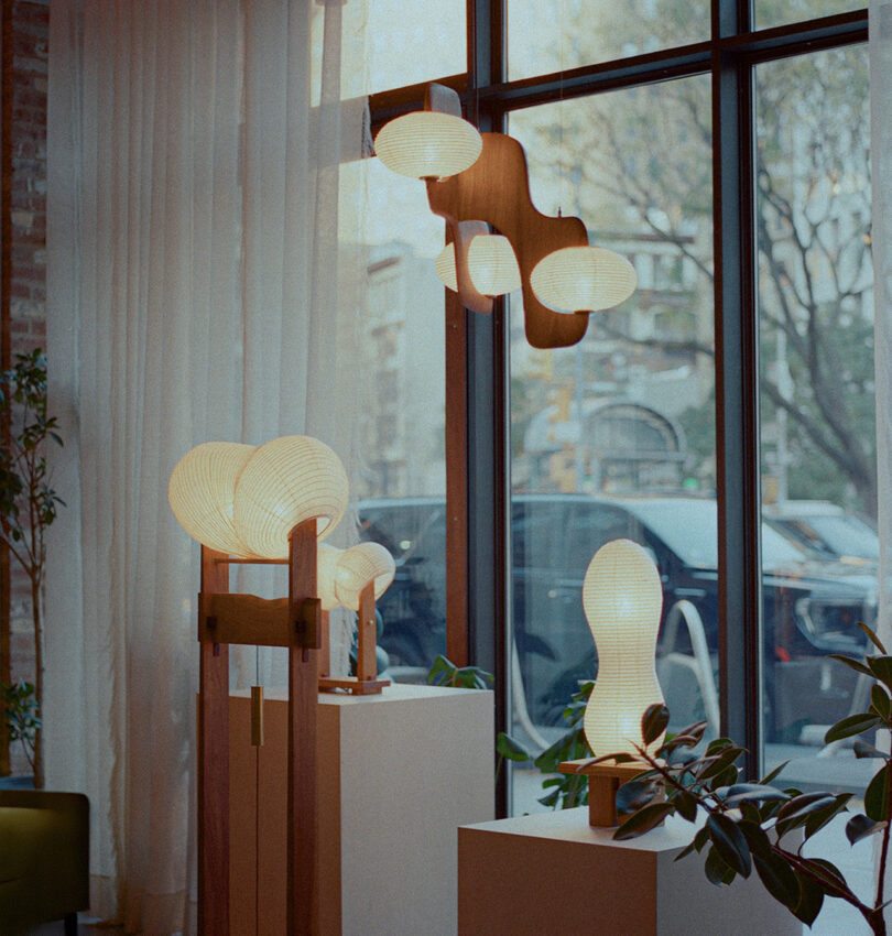 Modern lamps with paper-like shades are displayed on stands near large windows in a well-lit room with plants.