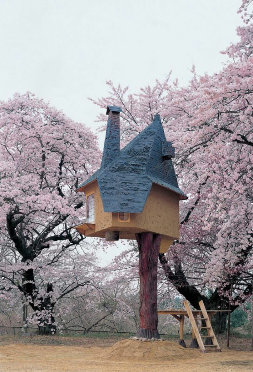 A whimsical treehouse by Anya Molyviatis, featuring a pointed roof, stands among blooming cherry blossom trees. It is elevated on a single trunk with a charming ladder leading up to it.