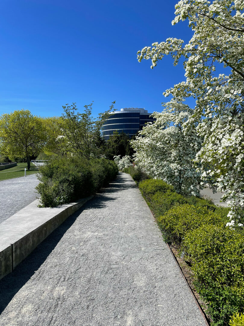 A pathway lined with lush greenery and blooming trees guides visitors toward a round, modern glass building, all under a clear blue sky, reminiscent of Sallyann Corn's vibrant designs.