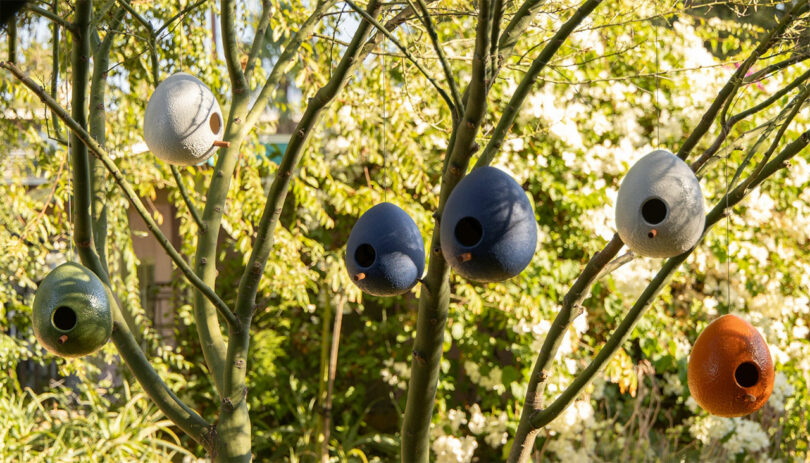 Colorful, egg-shaped birdhouses hanging from tree branches in a sunlit garden.