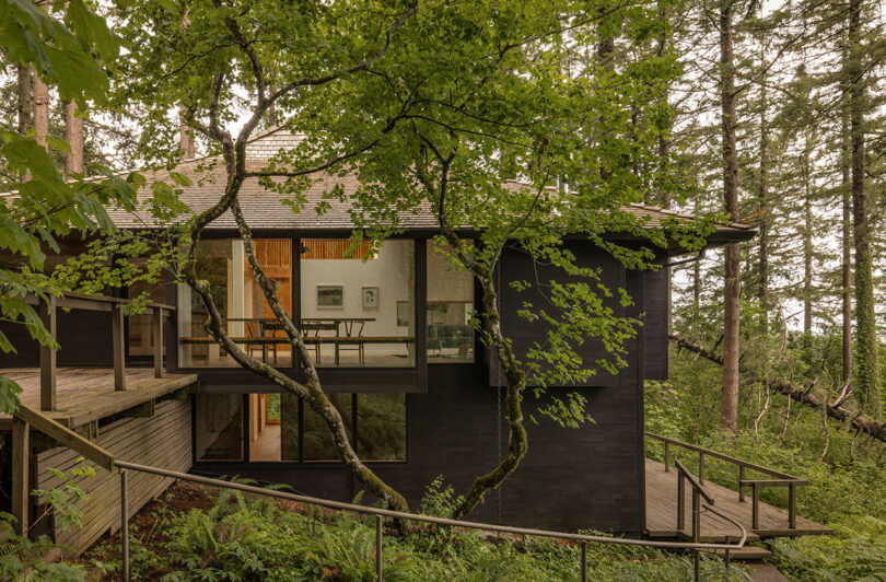 A modern, dark wood house surrounded by trees, featuring large windows and a wraparound deck.