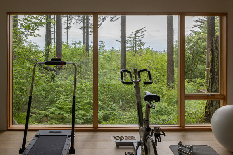 Home gym with a treadmill, stationary bike, and exercise ball is set by large windows displaying a forest view.