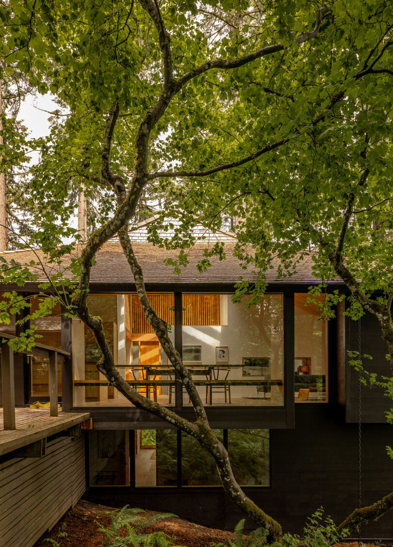 Modern house with large glass windows surrounded by dense green trees, showcasing an interior with wooden furniture and artwork.