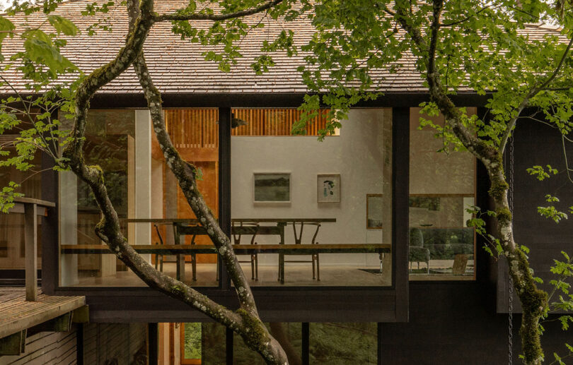 View of a modern house with large glass windows, surrounded by trees. Inside, a table and chairs are visible.