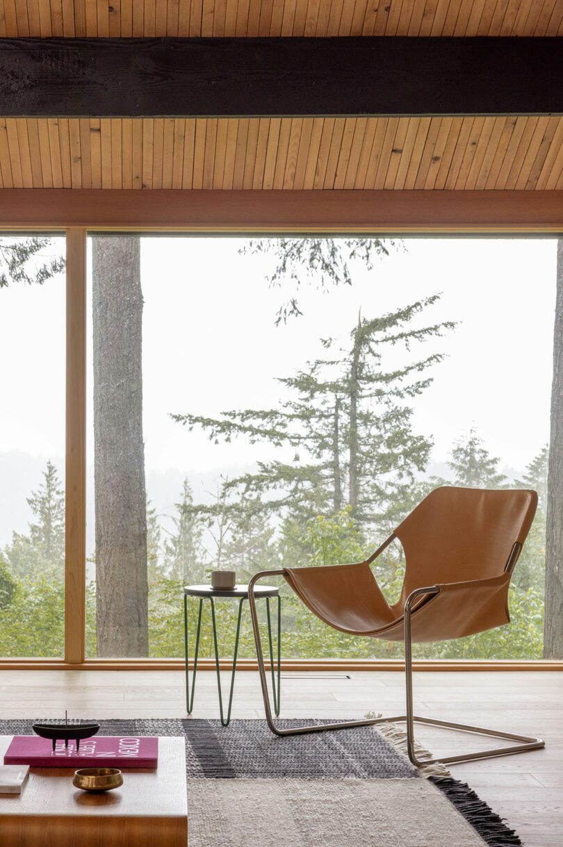 A modern living room with a leather sling chair and small round table facing large windows overlooking a forest. A wooden ceiling and rug add warmth to the space.