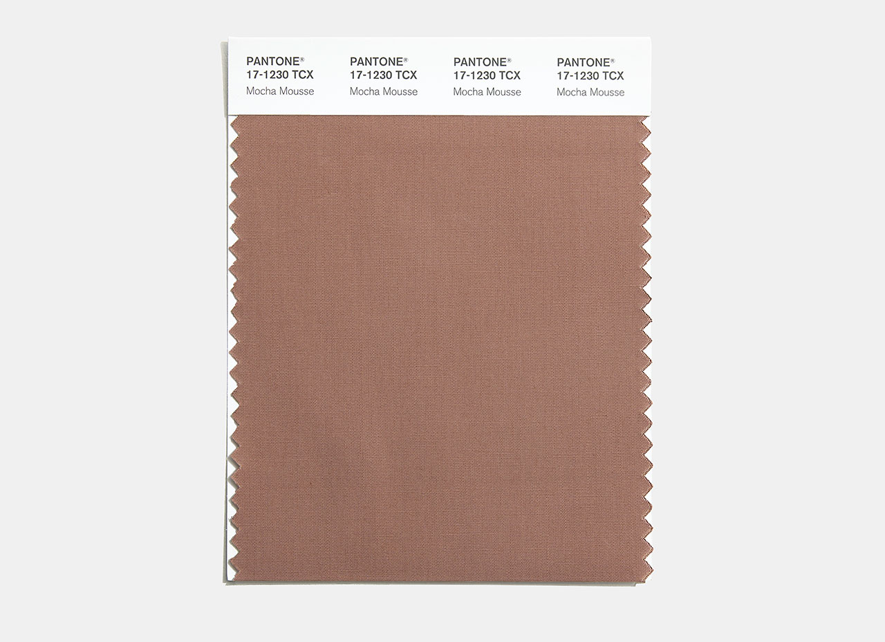 Pantone Color Of The Year 2025: PANTONE Mocha Mousse