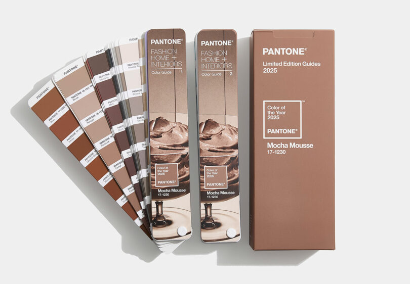 Pantone Color of the Year 2025 Mocha Mousse 5