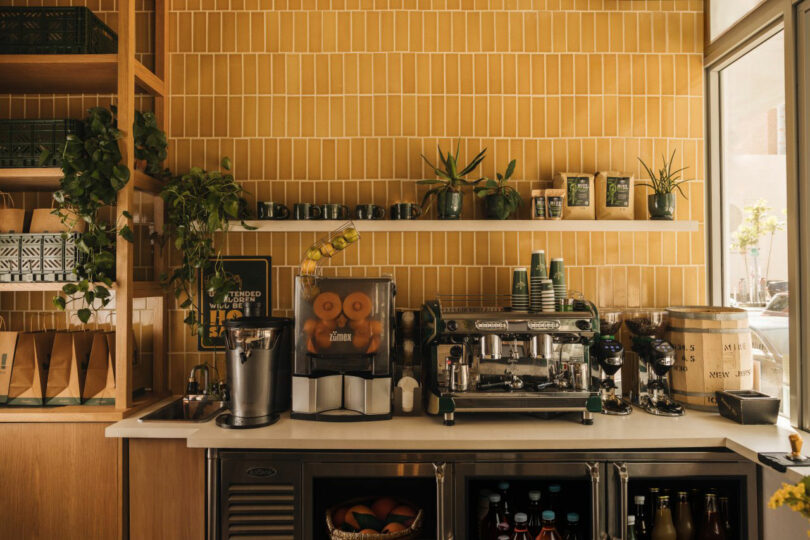 Coffee shop counter with an espresso machine, juicer, cups, potted plants, and shelves holding bags and boxes. Light streams through a window, illuminating the tiled wall.