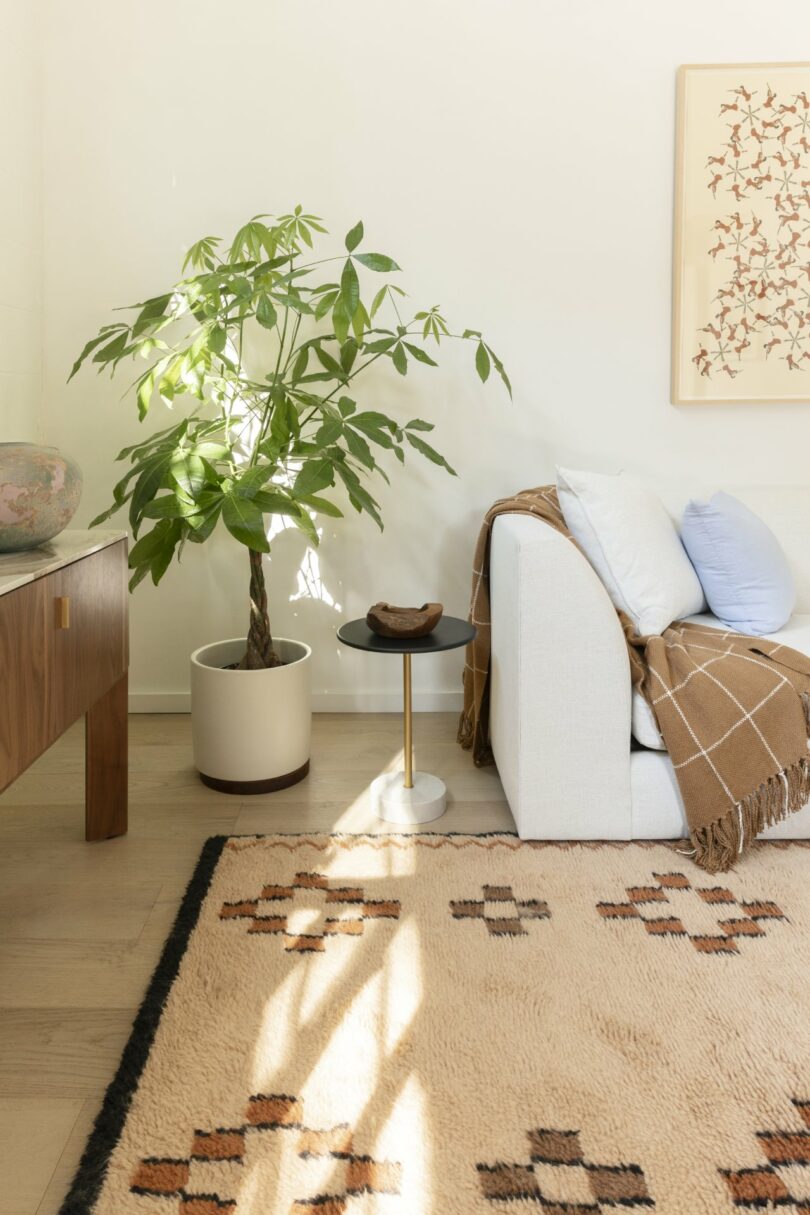 A cozy living room with a white sofa, a small black side table, a potted plant, and a framed artwork. The floor features a patterned rug with sunlight streaming in.