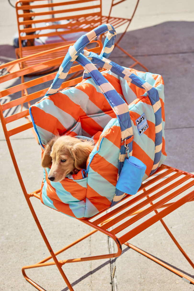 A small dog rests inside a colorful, padded pet carrier placed on an orange metal chair outdoors