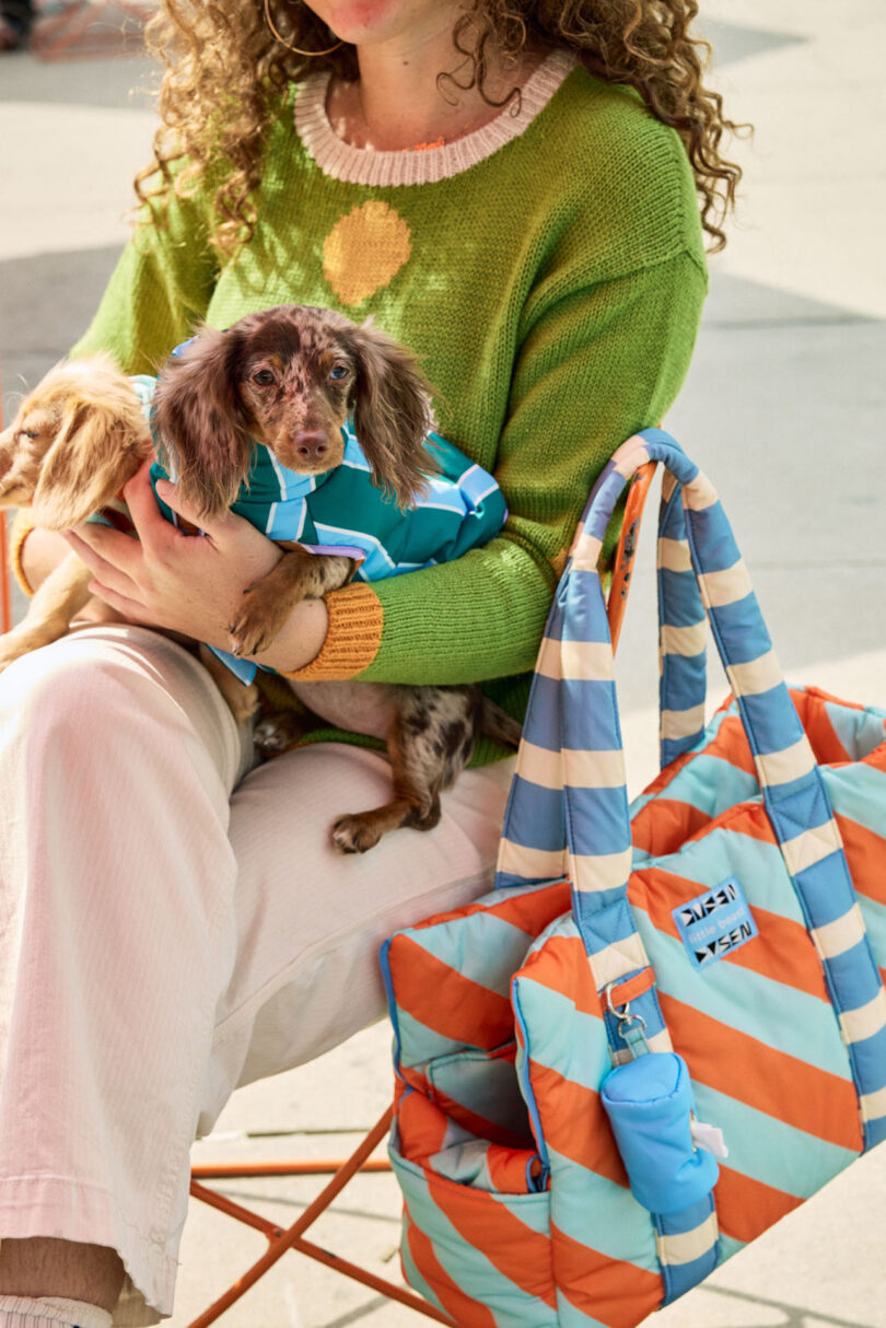 Person sitting with a small dog wearing a blue jacket on their lap. The person has a colorful striped bag beside them on an orange chair