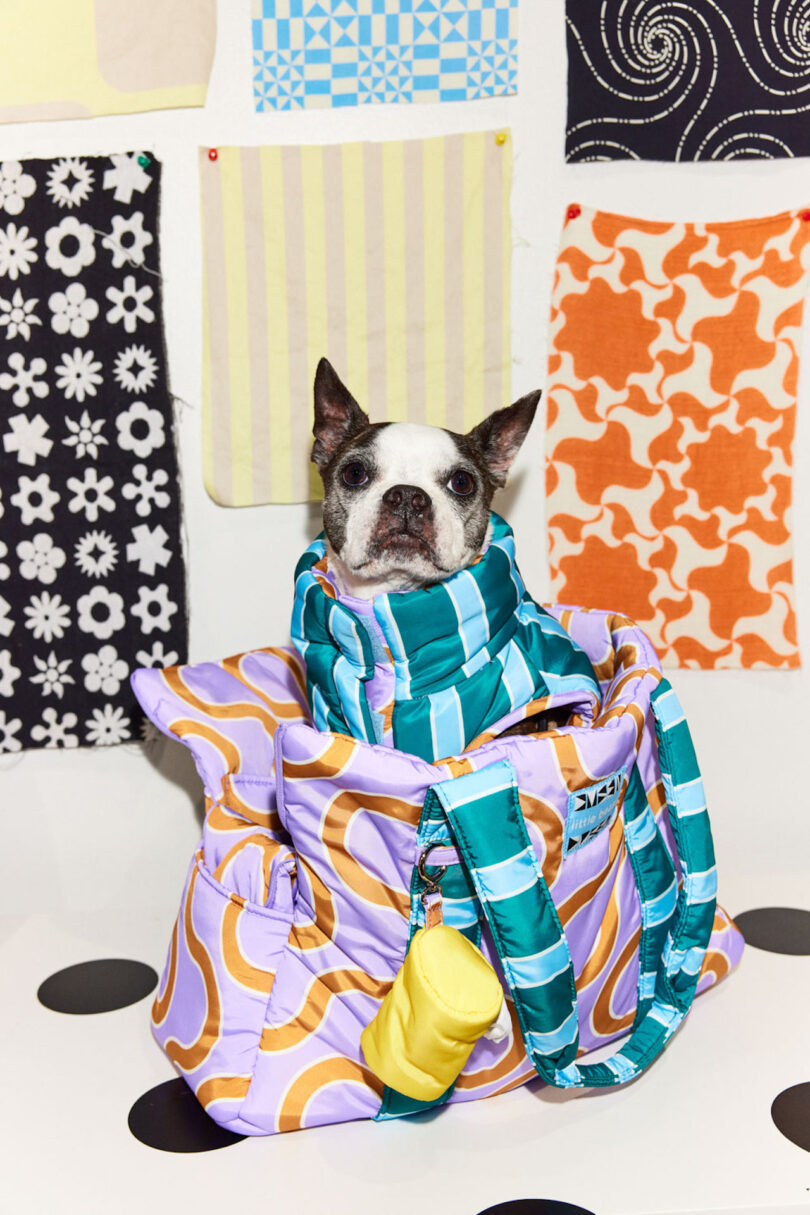 A dog sitting inside a colorful bag, surrounded by patterned fabric swatches on the wall