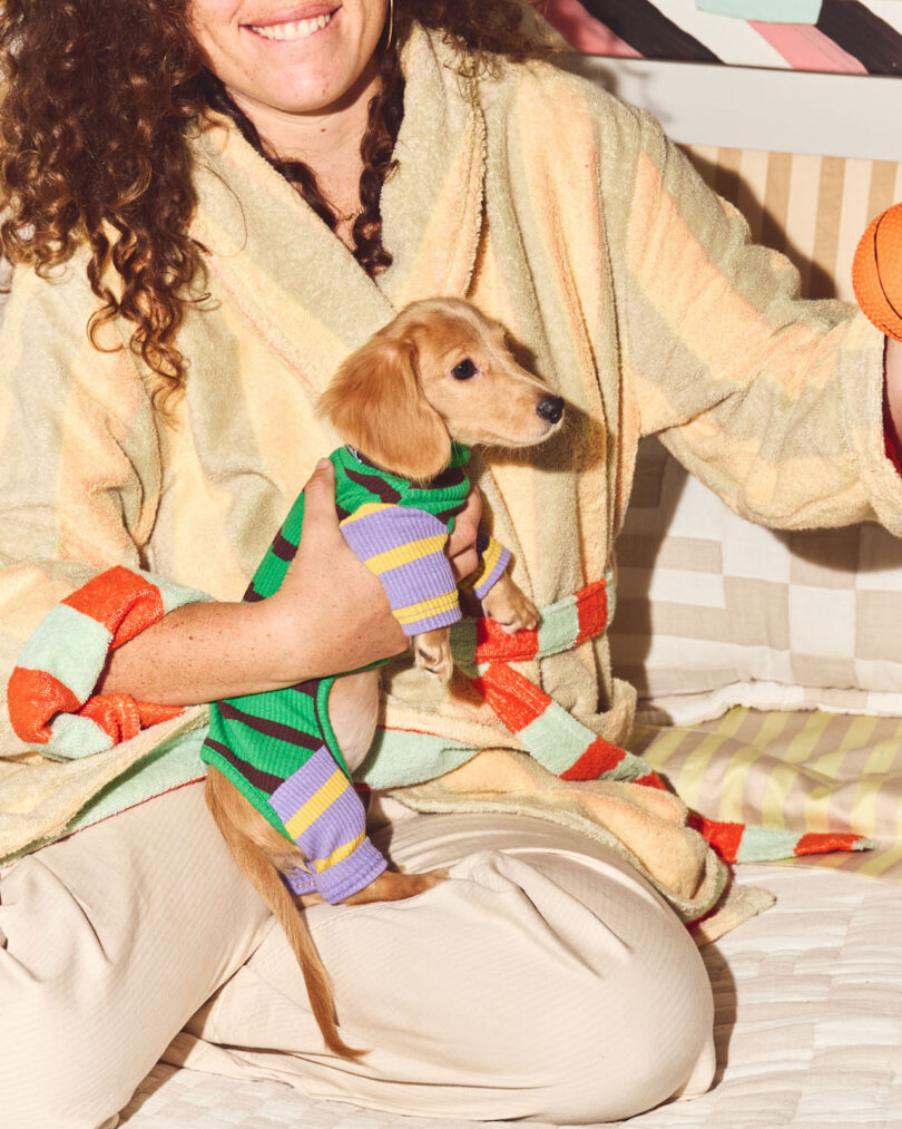 Person in a bathrobe holding a small dog wearing a striped sweater, with an orange toy in hand, sitting on a bed