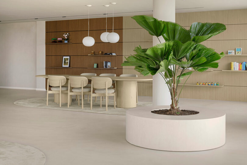 Modern office space with a large potted plant in the foreground, a table with chairs, pendant lights, and wooden shelving in the background.