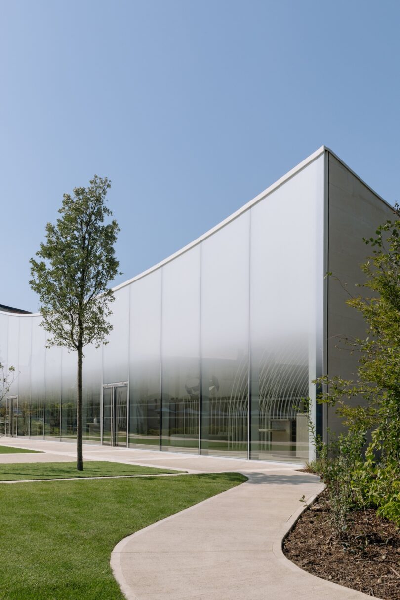 Modern white building with large glass panels and a curved roof. A single tree stands in front, with a path leading to the entrance. Clear blue sky above.