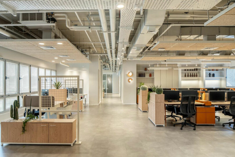 Modern open-plan office with desks, computers, and potted plants. The room features exposed ceilings and large windows providing natural light.