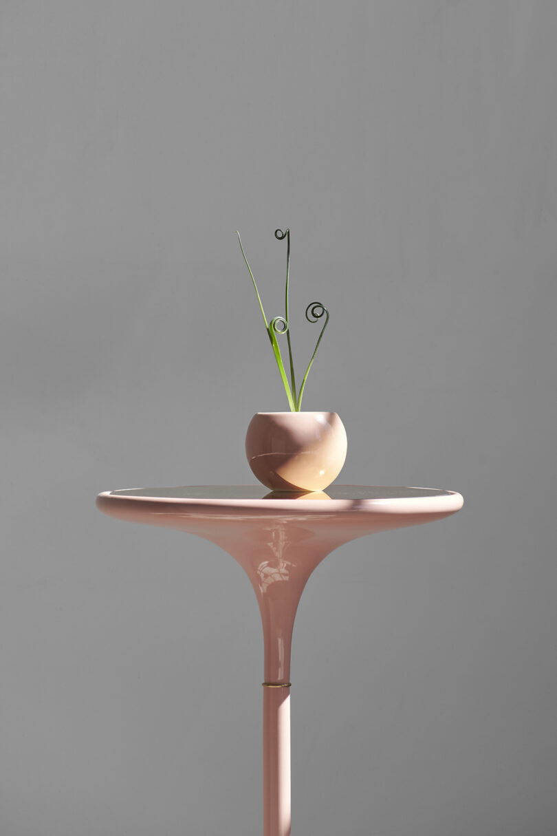 A small plant with curly stems in a round, pink Entler Design pot perches on a tall, round, pink pedestal against a plain gray background.