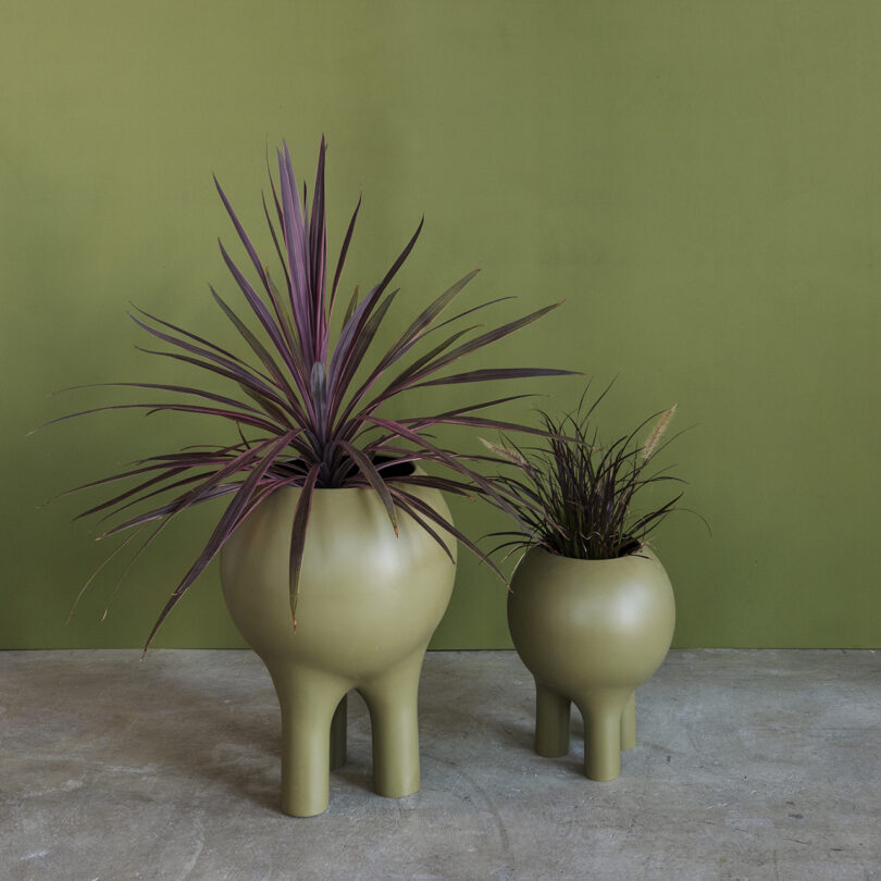 Two green, four-legged planters from Entler Design, each boasting spiky plants, elegantly rest on a concrete floor against a matching green wall.