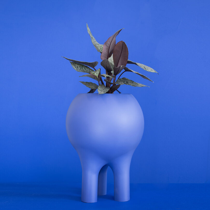 A round, blue Entler Design planter with four legs cradles a plant, its dark leaves set against a soothing blue background.