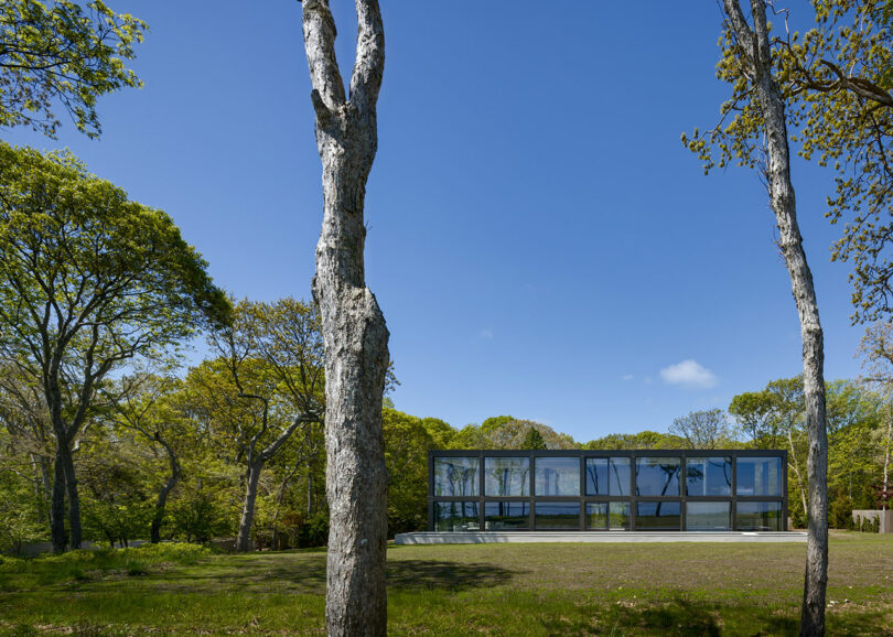 Modern glass building surrounded by trees under a clear blue sky.