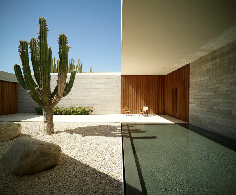 Modern courtyard featuring a large cactus, gravel ground, a reflecting pool, and two wooden chairs against a wooden and stone wall under a clear blue sky.