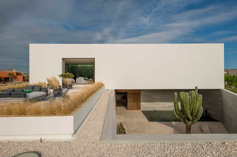 Modern white rectangular building with a rooftop patio featuring plants and seating, and a sunken courtyard with a large cactus.