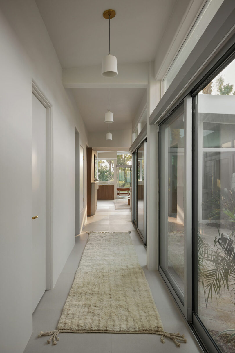 A modern hallway with large windows, white walls, ceiling lights, and a beige rug on the floor. There's a glimpse of a living area with plants at the end of the corridor.