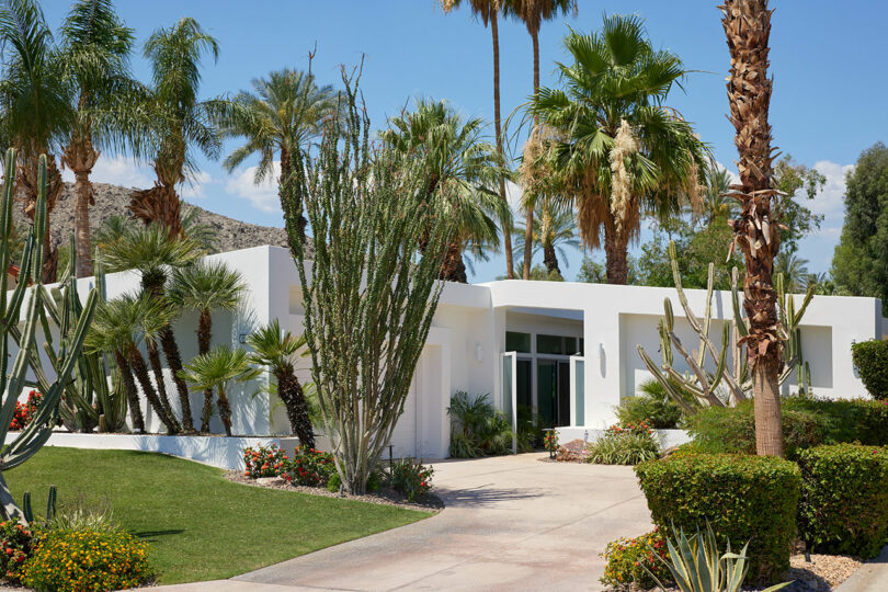 Modern white house surrounded by lush palms, cacti, and greenery on a sunny day.