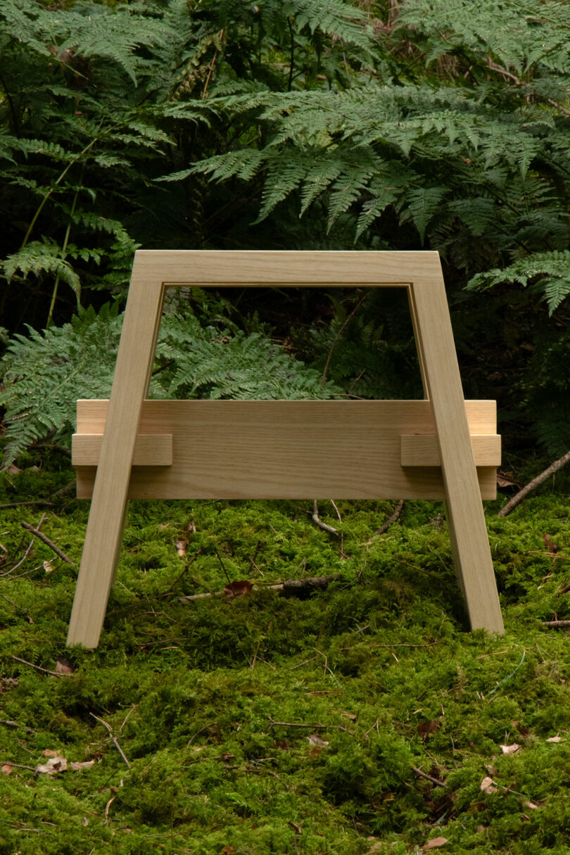 A wooden sawhorse stands on mossy ground amidst dense green ferns.