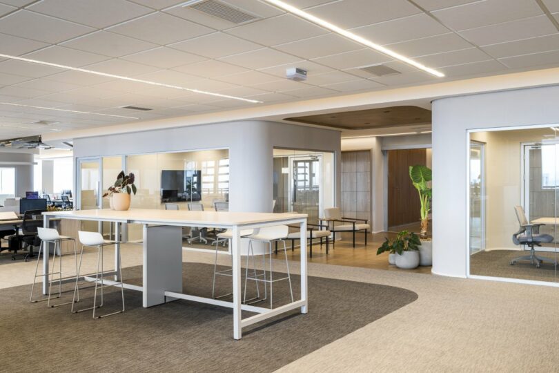 The Moas Group presents a modern office space featuring a high table with stools, glass-walled meeting rooms, and large potted plants.