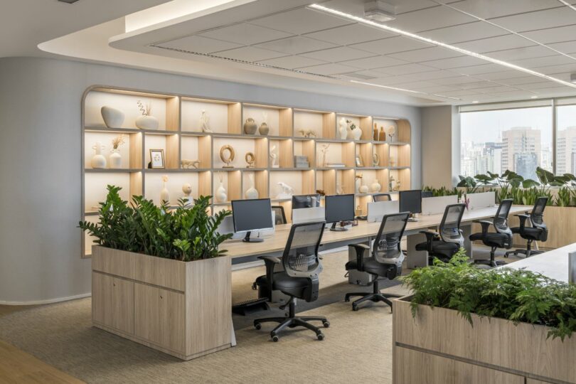 The Moas Group's modern office boasts rows of desks, ergonomic chairs, and sleek computers. Shelves adorned with tasteful decorations line the background, while large planters filled with lush greenery create a refreshing foreground.