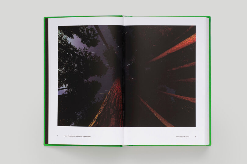 Open book showing a photograph of tall trees viewed from below, with text underneath. The book has a green cover.