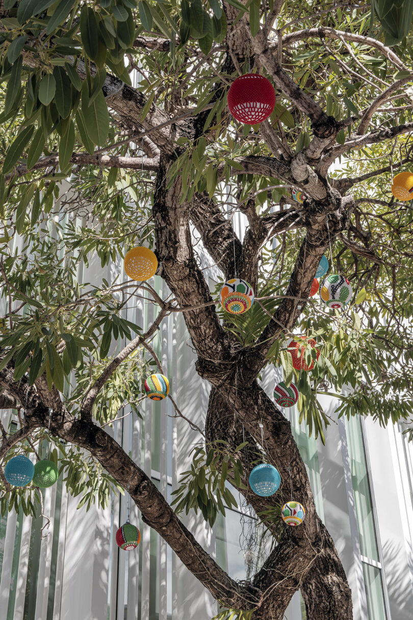 Tree with hanging colorful lanterns near a building.