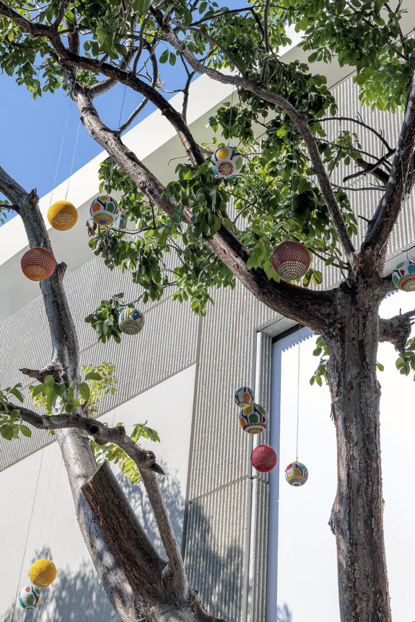 Decorative lanterns hang from a tree with green leaves against a modern building.